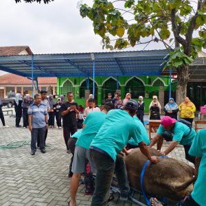 CUTI BERSAMA, SMK NEGERI 7 SURAKARTA MELAKSANAKAN KURBAN 